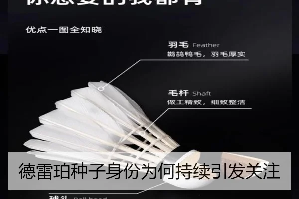 德雷珀种子身份为何持续引发关注